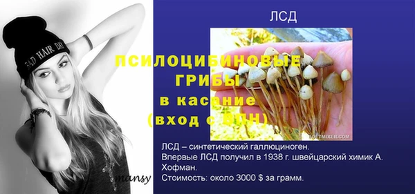 Альфа ПВП Карталы