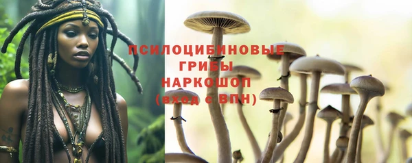 Альфа ПВП Карталы