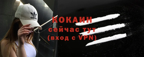 дмт Кинешма
