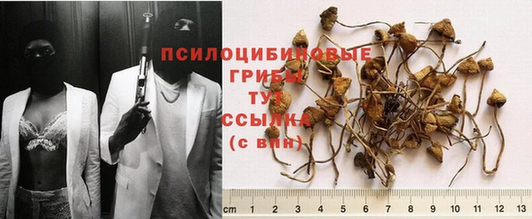 винт Карпинск