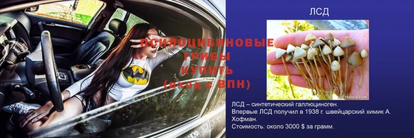 дмт Кинешма