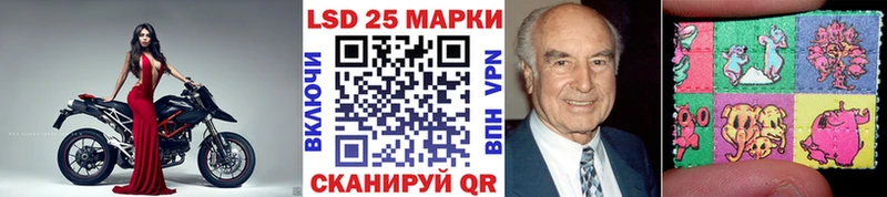 Купить где  Ветлуга  Марки NBOMe 1500мкг 