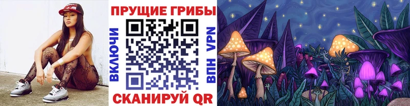 Купить  Ветлуга  Галлюциногенные грибы Psilocybine cubensis 